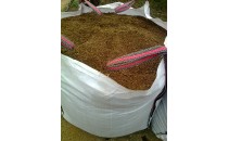 Sauló sense garbellar