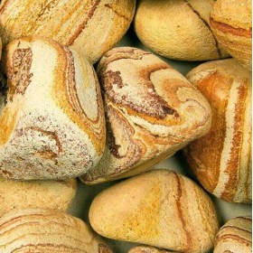 Jaula Bolo Rainbow 100/200 mm