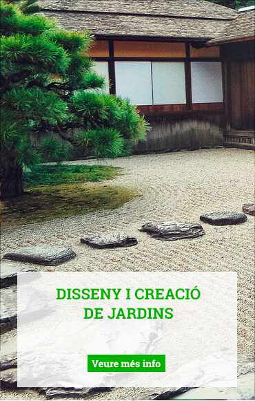 Disseny i creació de jardins