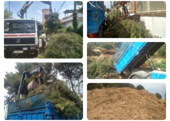 Recollida de poda de jardí