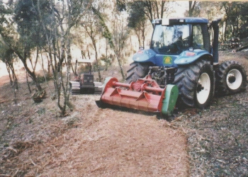 Mas servicios. Limpieza de zonas verdes y forestales.