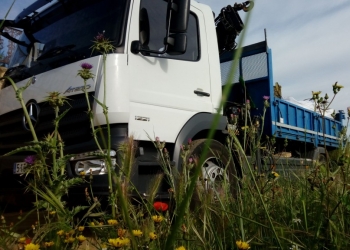 Tot llegint Batecs de Natura