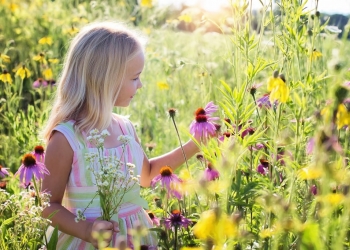 Consejos para cuidar tu jardín en verano