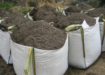 L'importància d'un bon compost.