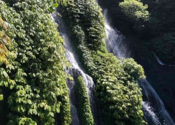 5 sencillas medidas para ahorrar agua: Nos adelantamos al verano.