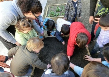 Huerto de la escuela Cobi